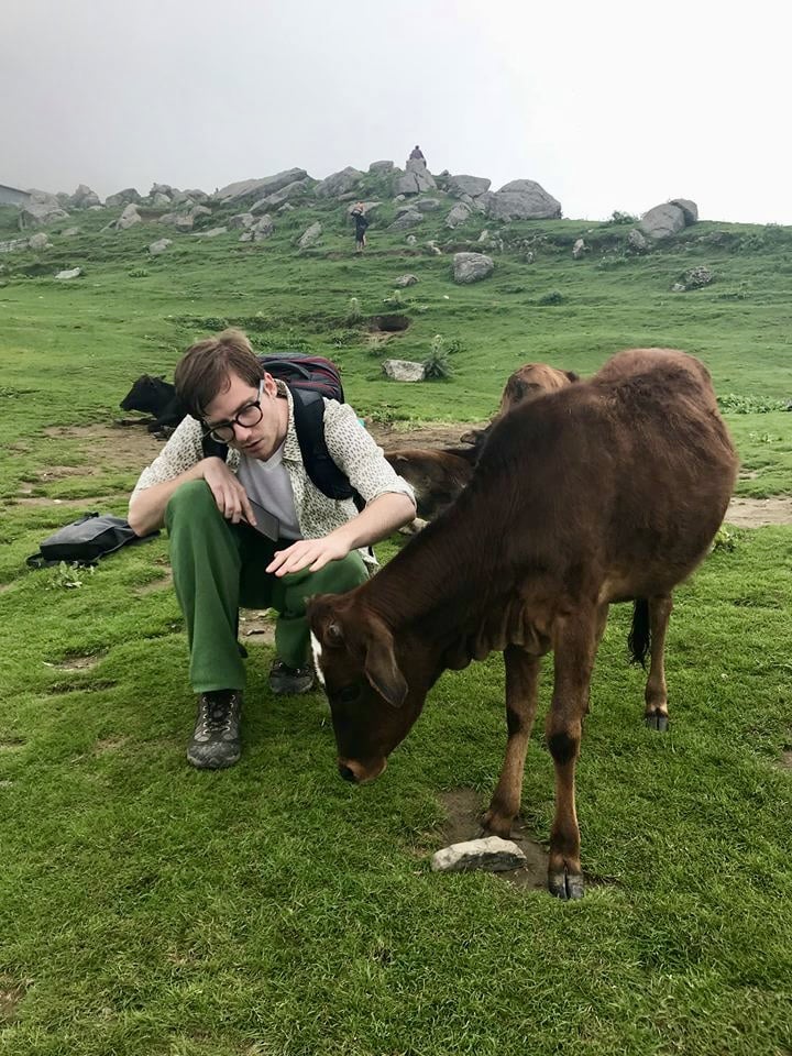 Nikolas with a dzomo, a wild yak-cow hybrid, on the slopes of the Dhauladhar mountains.